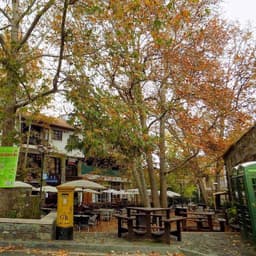 Antreas louka gallery image 3