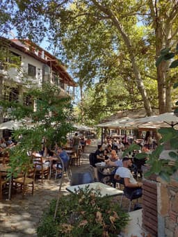 Antreas louka gallery image 4