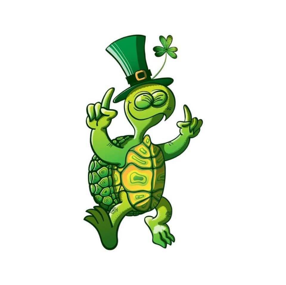 Tipsy O' Turtle profile image
